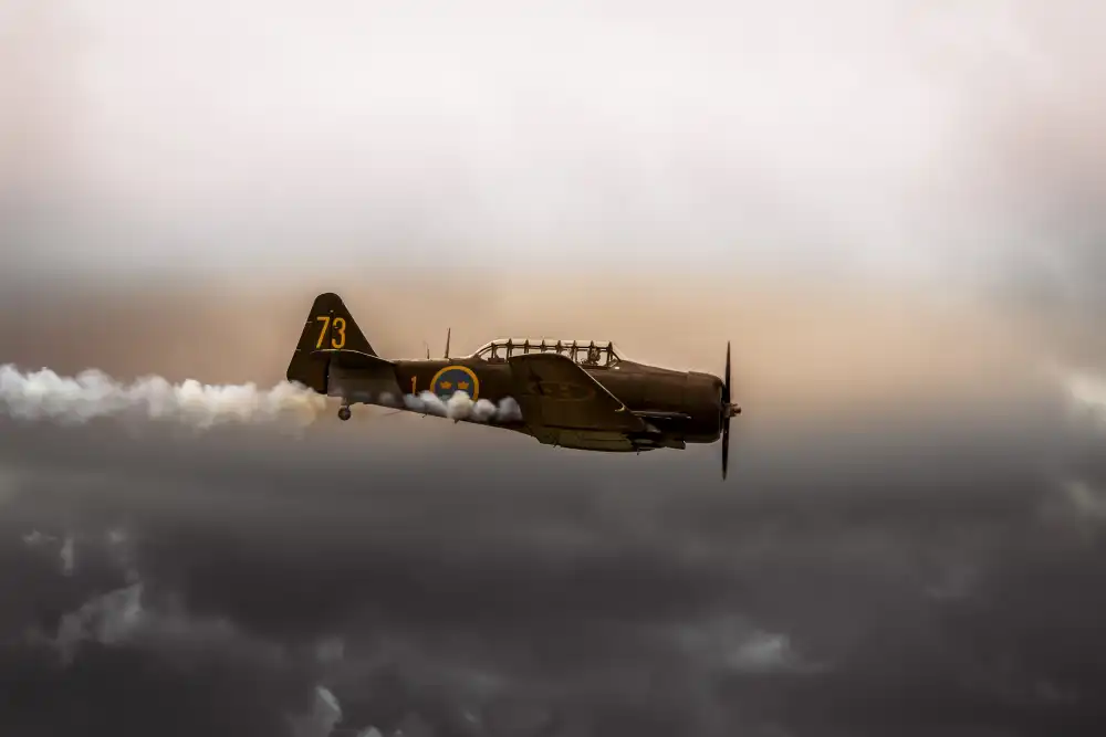 Wicklow, Jørgen: Spectacle aéronautique de Roskilde