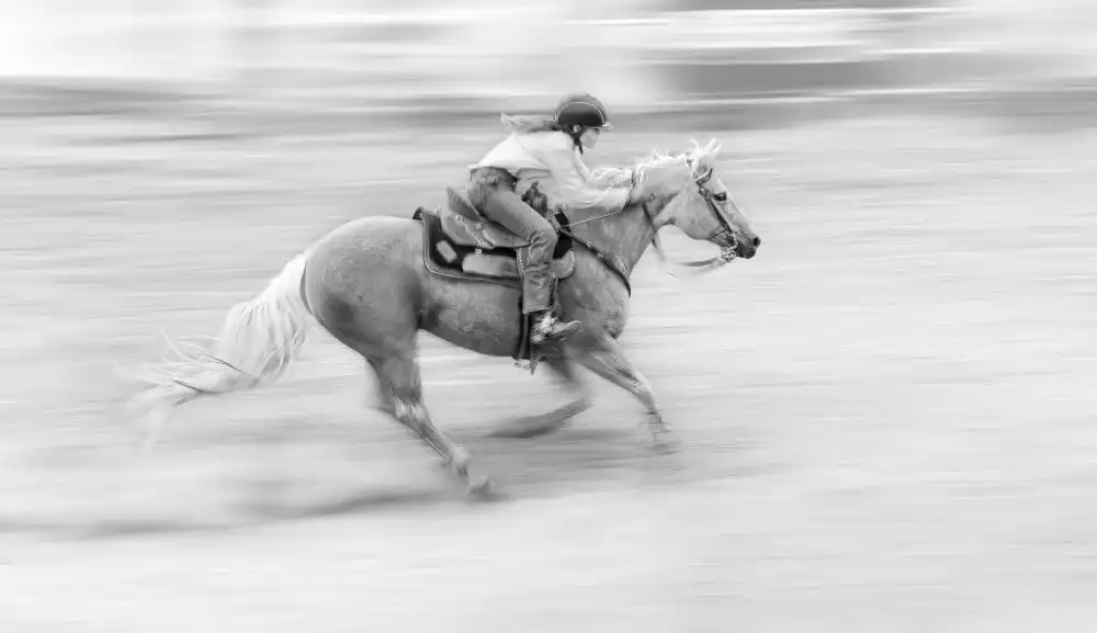 little7: Rodeo 2022 #5