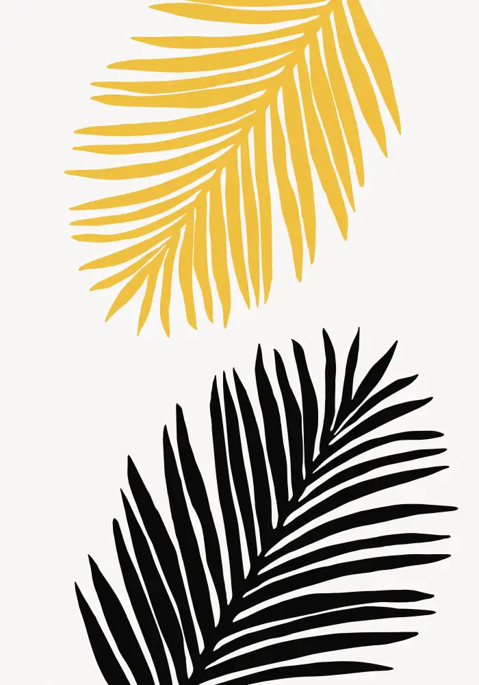 Studio, Pictufy: FEUILLE DE PALMIER 14