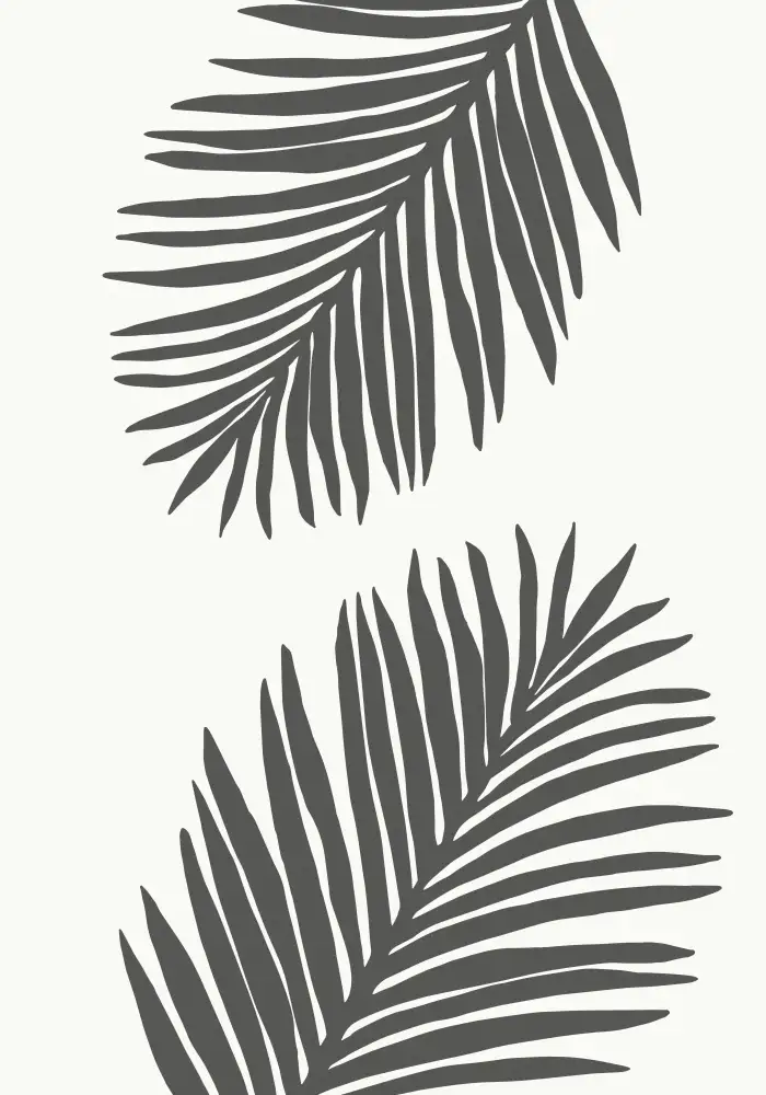Studio, Pictufy: FEUILLE DE PALMIER 12 GRIS GRAPHITE