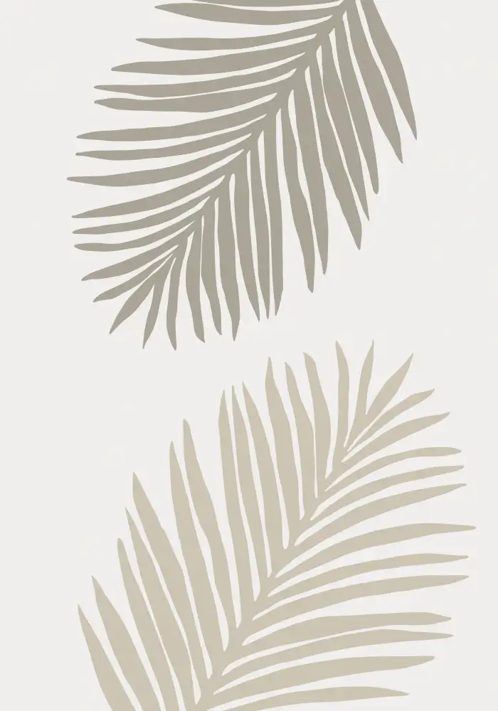 Studio, Pictufy: FEUILLE DE PALMIER 10