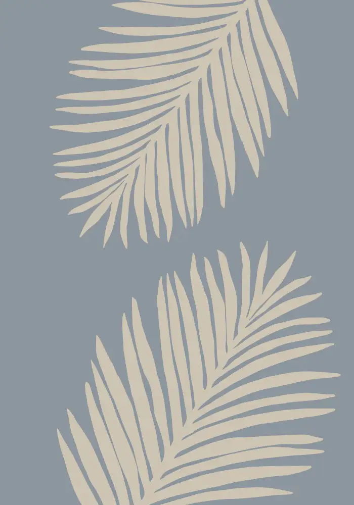 Studio, Pictufy: FEUILLE DE PALMIER 11
