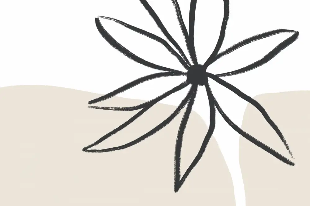 uplusmestudio: Fleur et crème