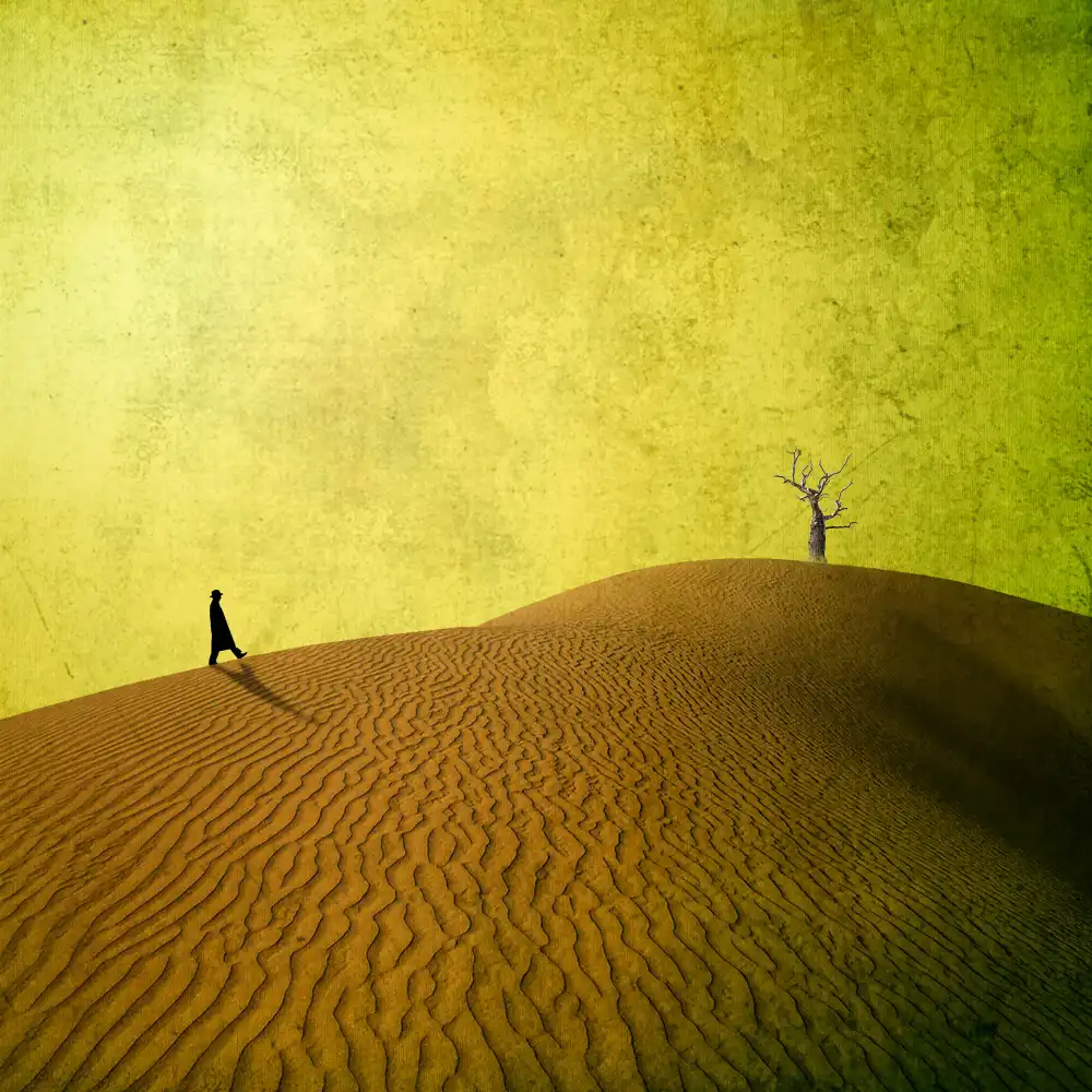 Novichikhin, Evgenii: Desert