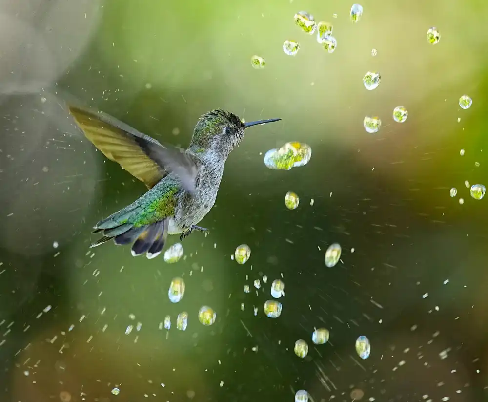 Huang, Xiaojian: Ein Regen aus Diamanten