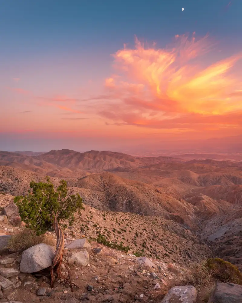 Iqbal, Syed: Desert Sunset