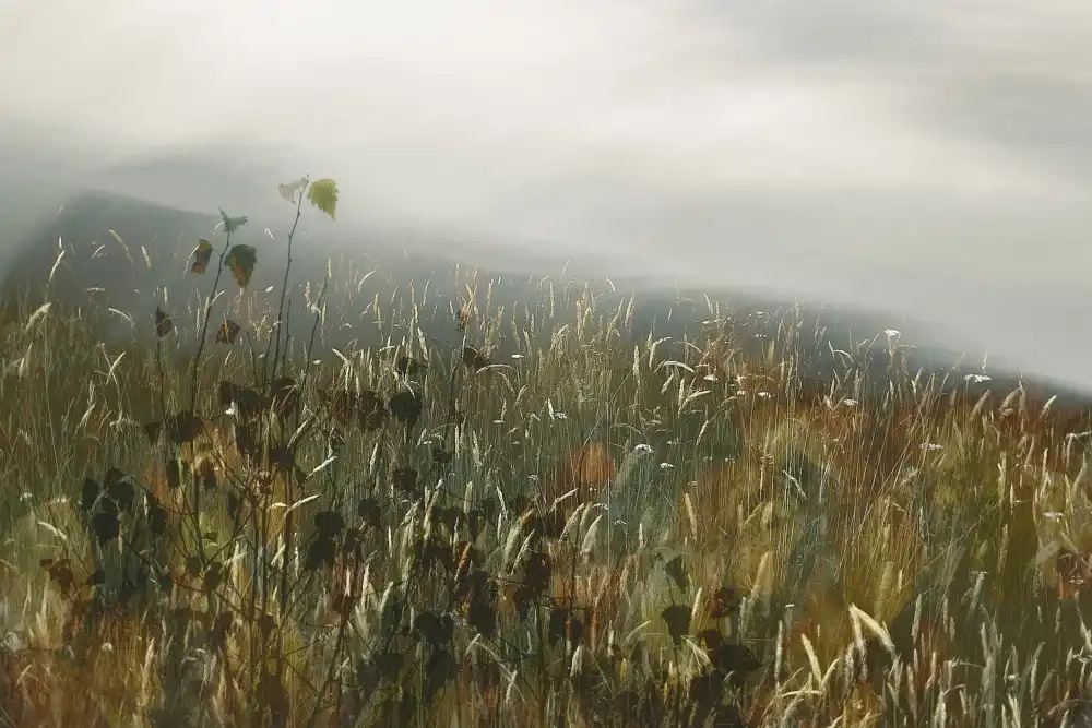 Talen, Nel: In the field