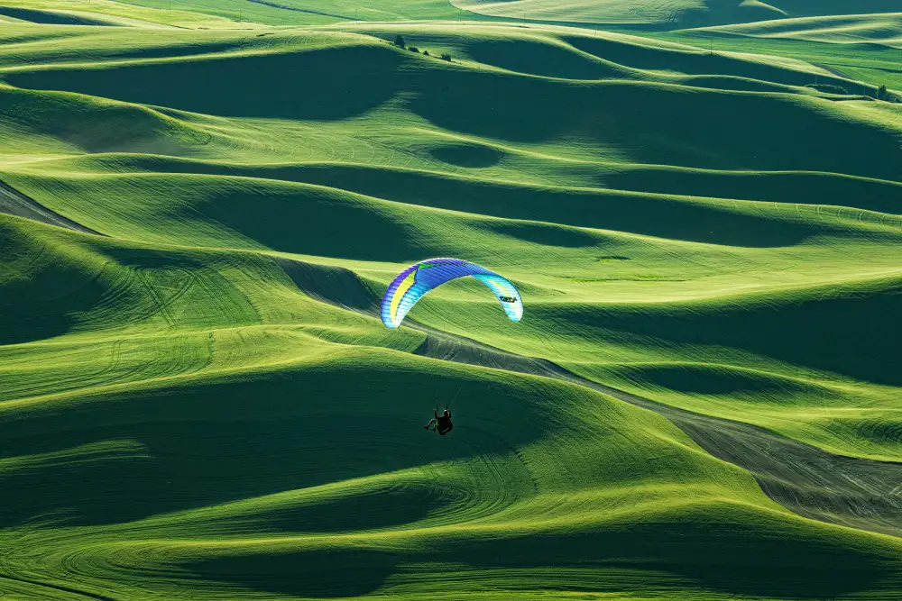 Xu, Tony: En volant
