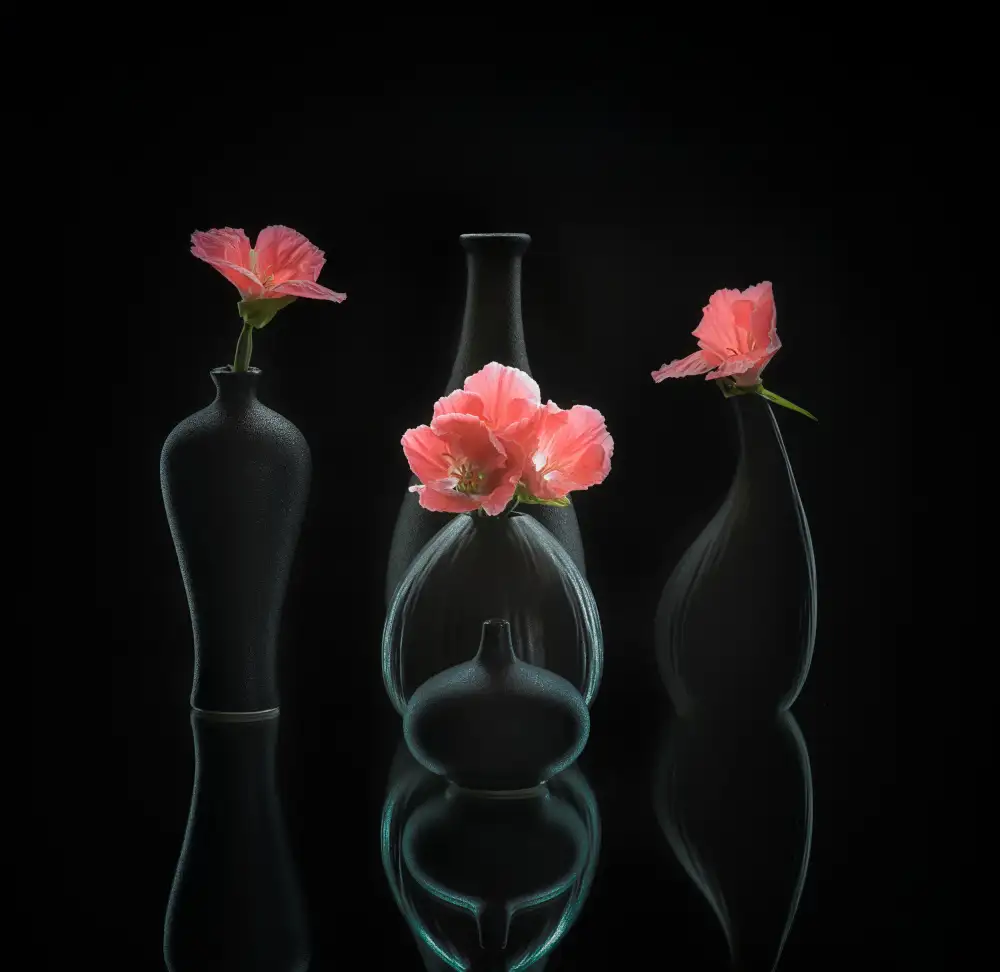 Sheng, Alice: nature morte 45