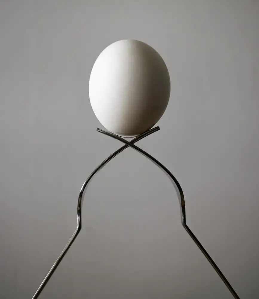 zyfeller: Untitled