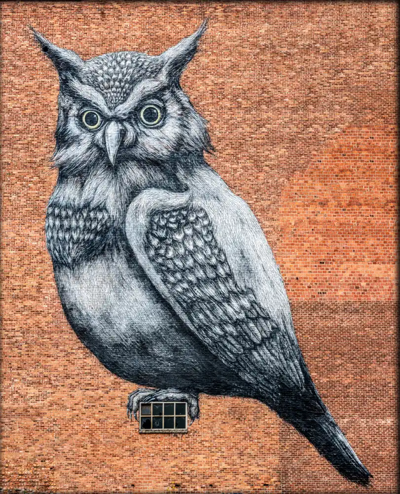 Philippe, Laruelle: Tag Owl Hasselt