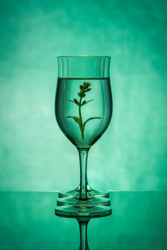 Yakubovitch, Azriel: Green Glass