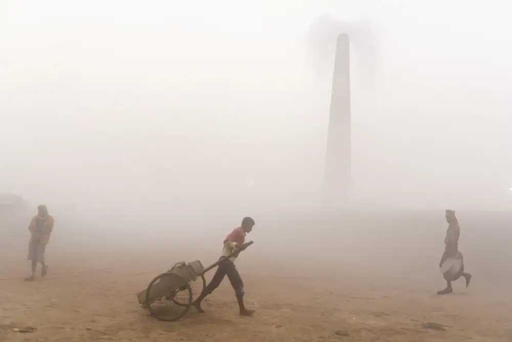 Chakraborty, Sudipta: Winter Morning in Brickfield