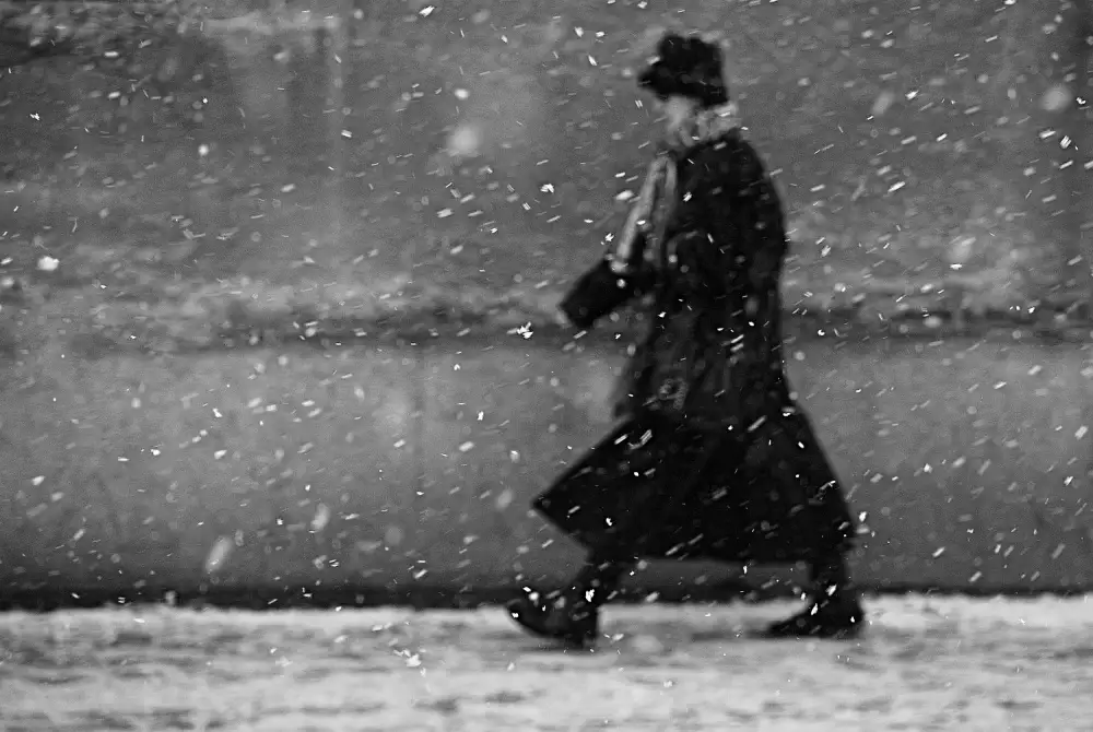Gabor, Nicoleta: winter passengers
