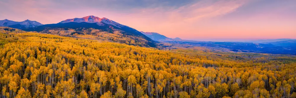 Fan, John: Concert of Autumn