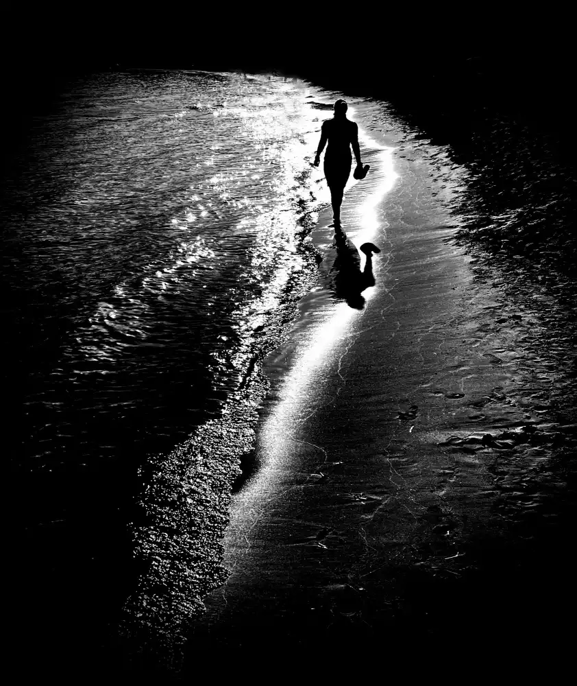 Momanu, Mirela: Follow The Light
