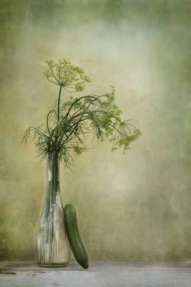 Wettstein, Priska: Dill and Cucumber