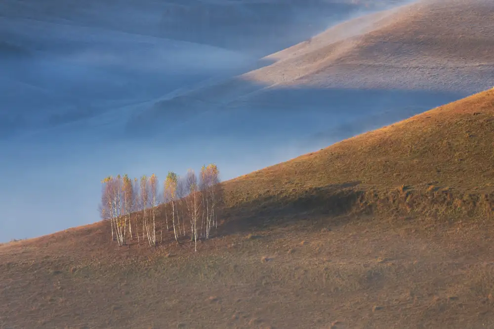 Coman, Ionut Alexandru: Chromatic sunrise