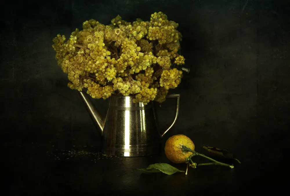 Sahin, Ramiz: Arenario Helichrysum/Altın otu