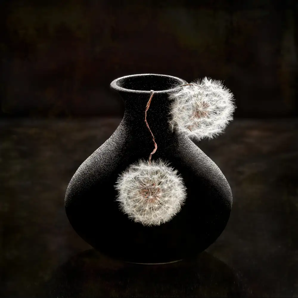 Meng, Mia: Plush Balls