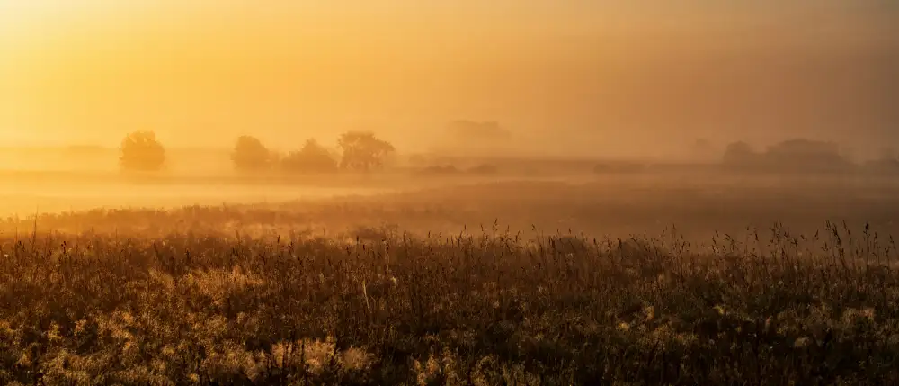 Muß, Jürgen: MorningMood