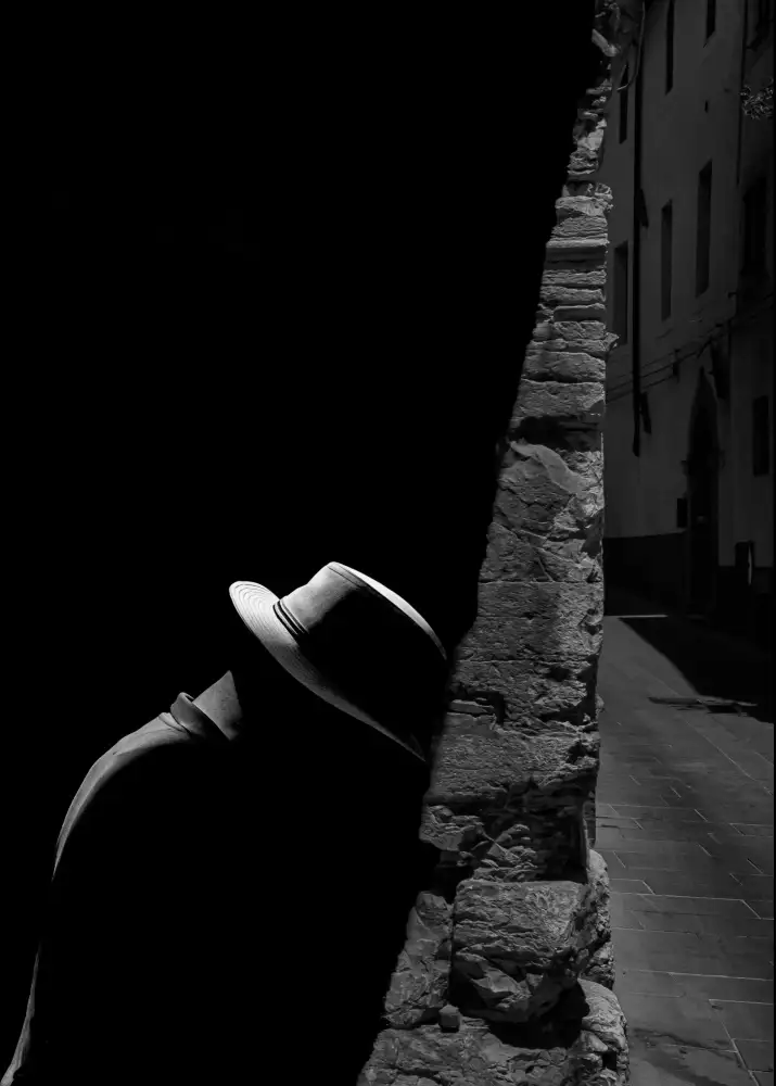 Domenichi, Luca: hat