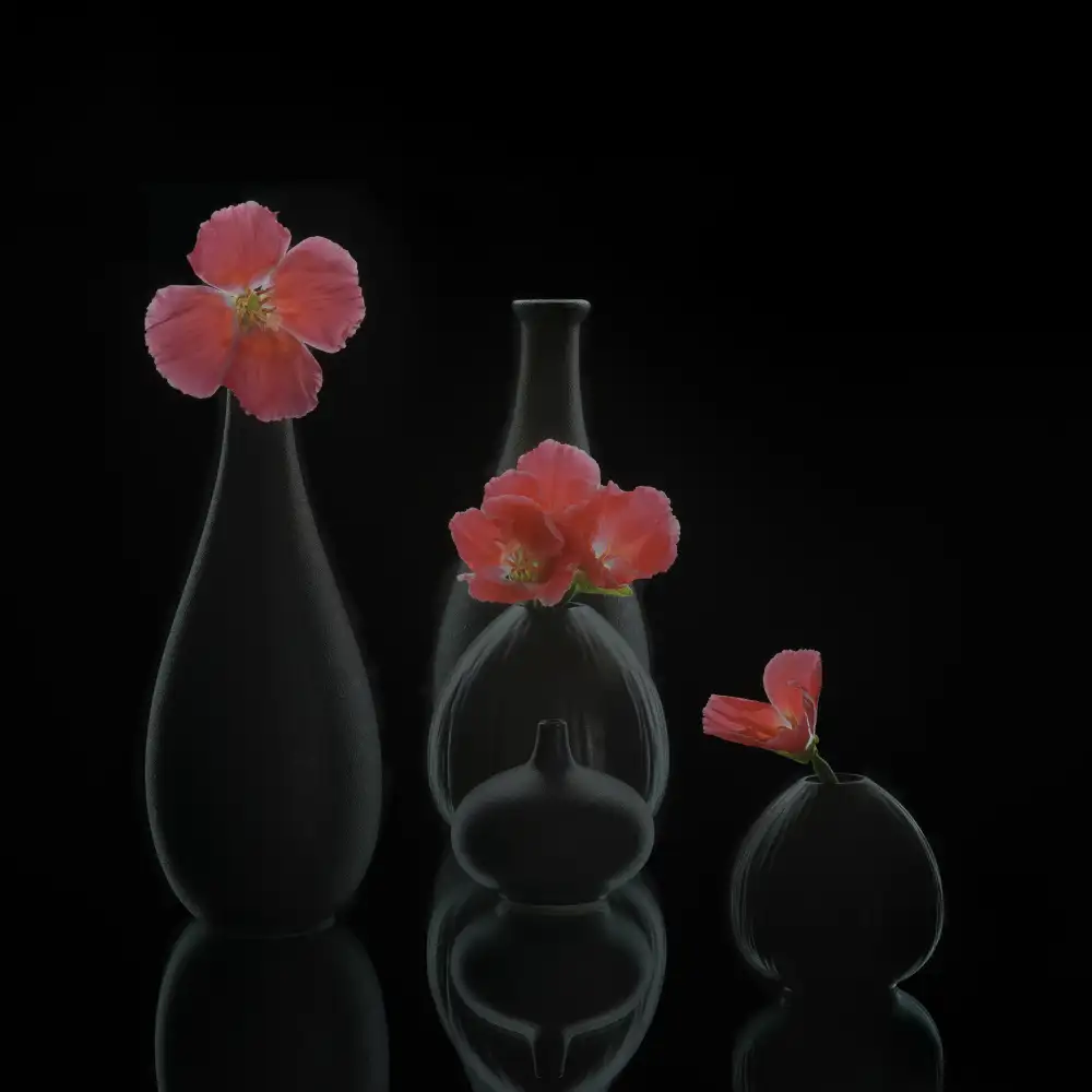 Sheng, Alice: still life 46