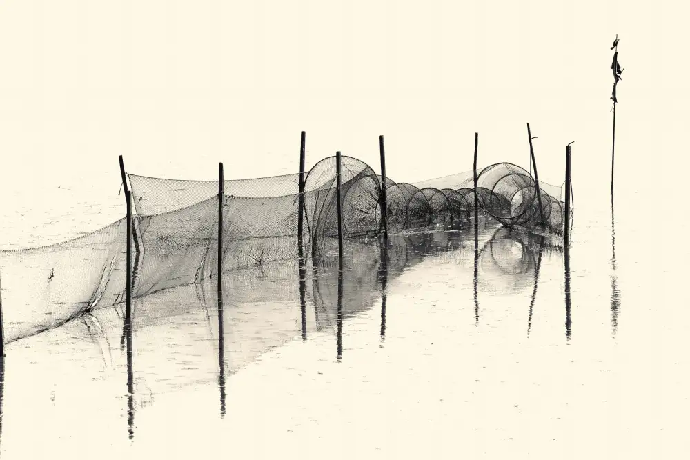 Balzer, Bodo: Fish Trap BW