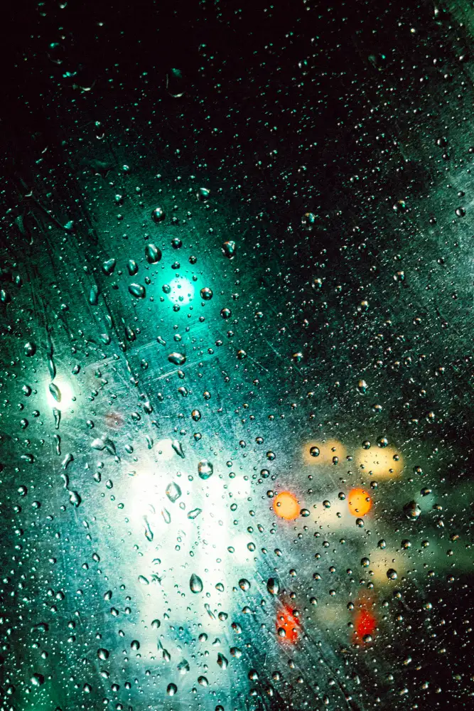 Hasegawa, Takashi: Rainyday
