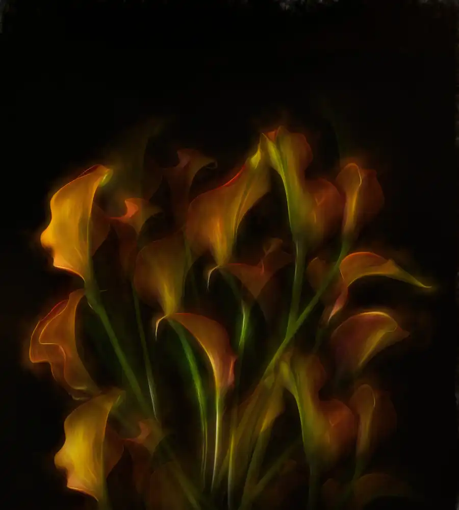 Dingemans, Saskia: Potere dei fiori.