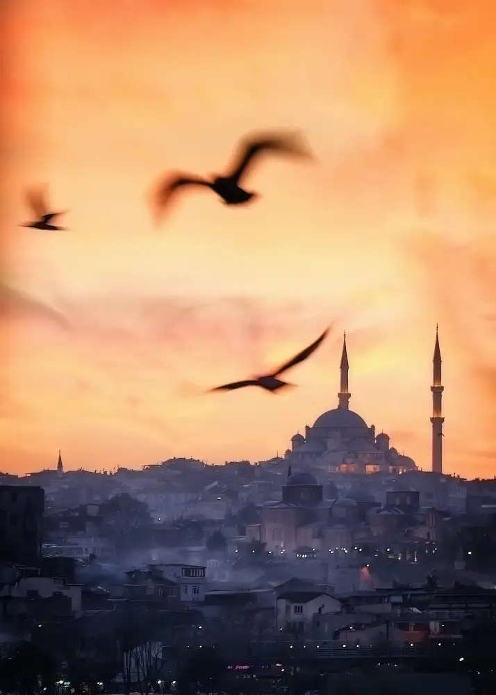 Lopez, Bartolome: Sunset in Istanbul