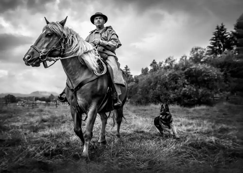 Girmencea, Robert: Wild life