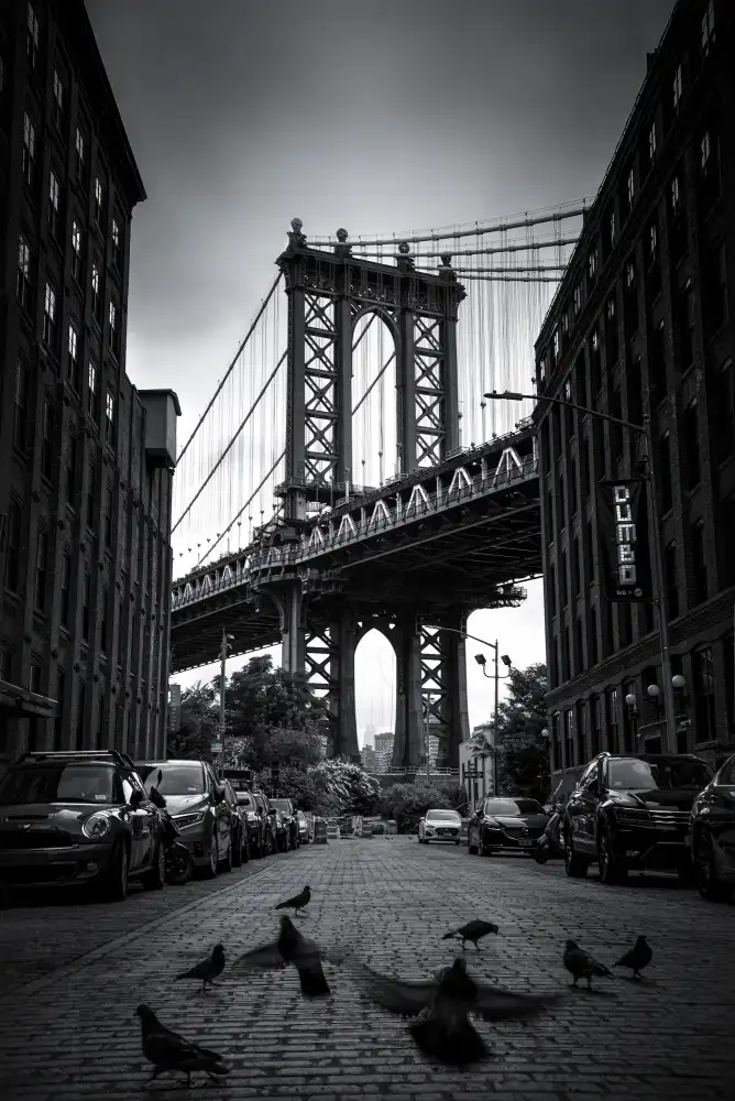 Catherine, W.: Dumbo - NYC