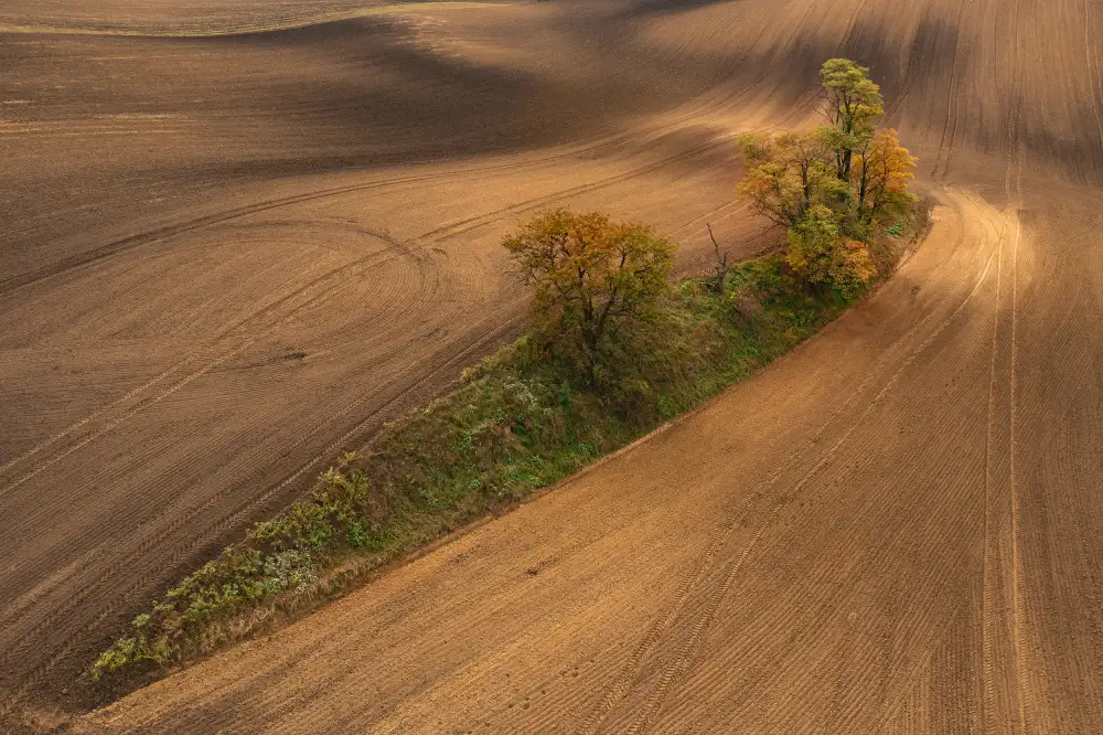 Kravanja, Jure: South Moravia