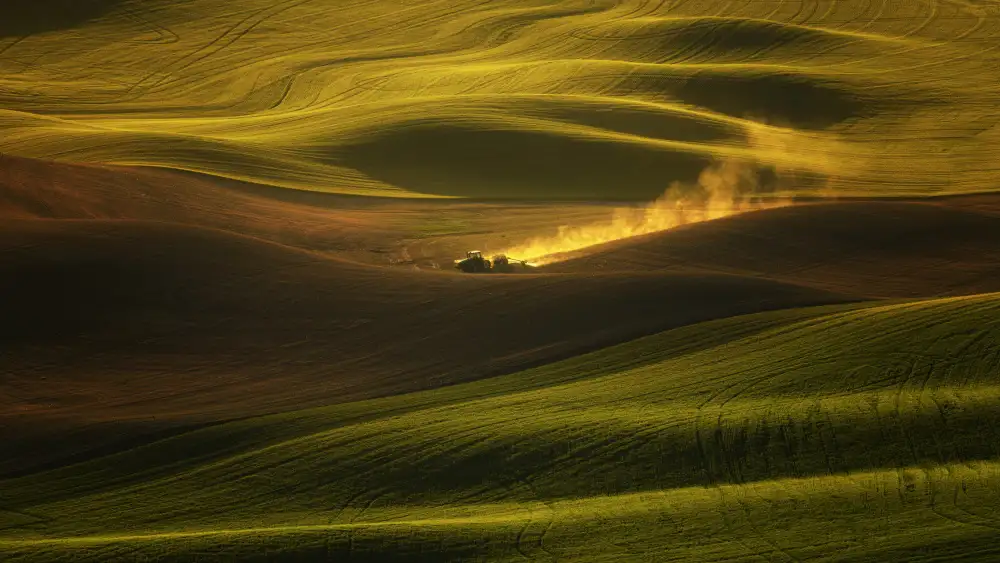 Zhang, Joan: A tractor in the Palouse wheat fields
