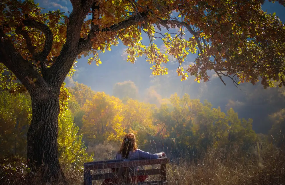 Oprea, Vio: Woman sitting on a bench under a tree and facing a yellow autumn