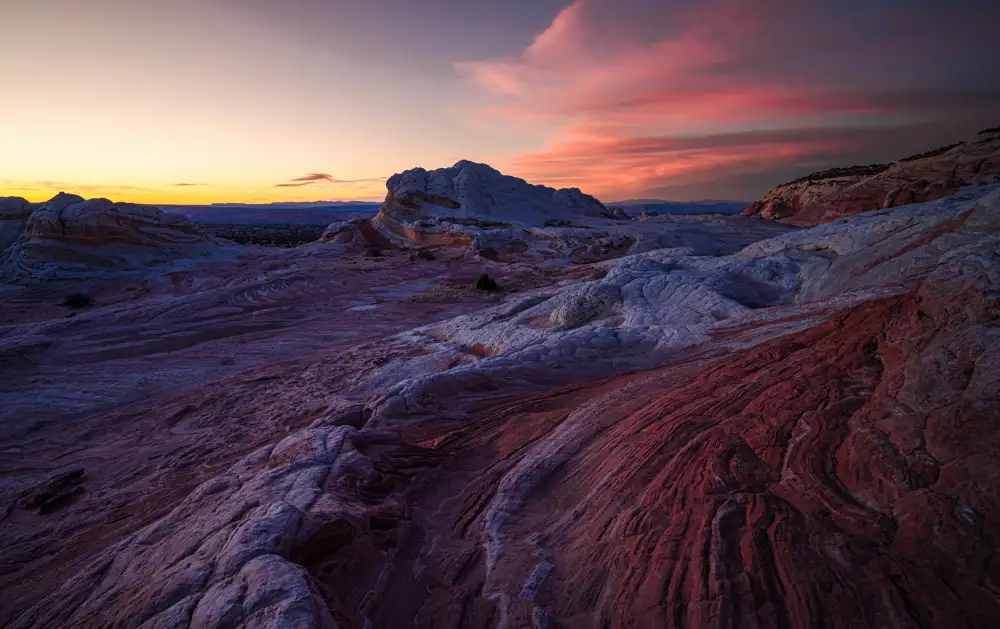 Huang, Johnson: Tasca Bianca in Arizona