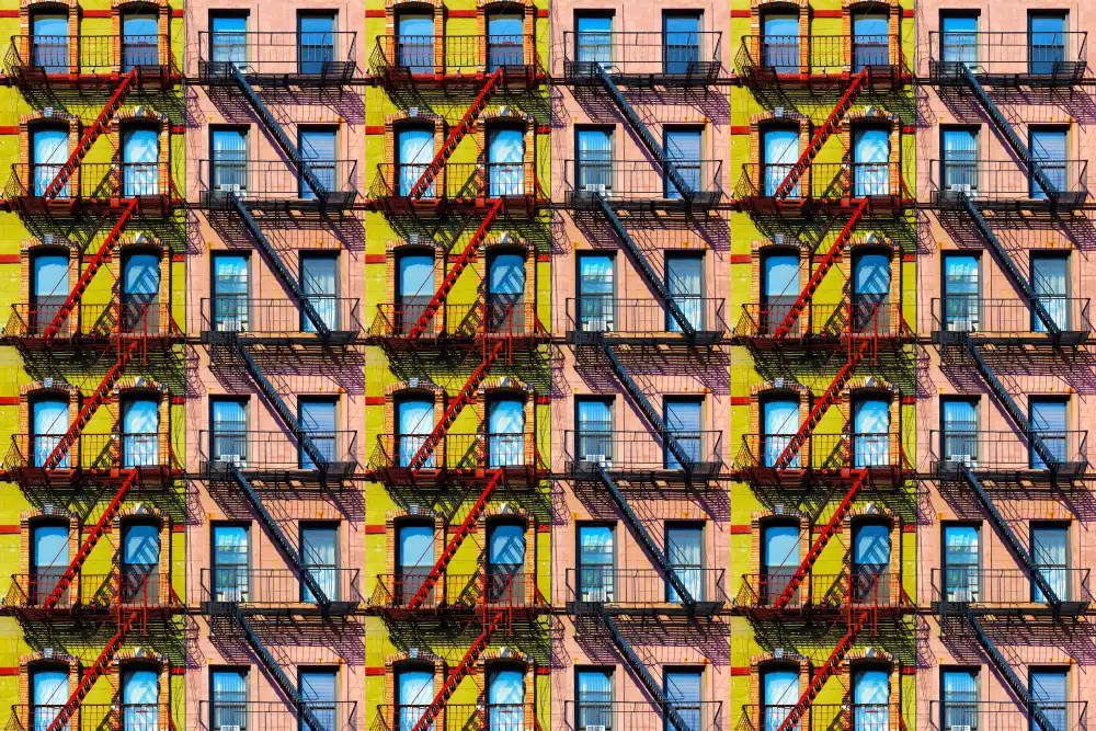 Shrayer, Igor: Finestre di New York