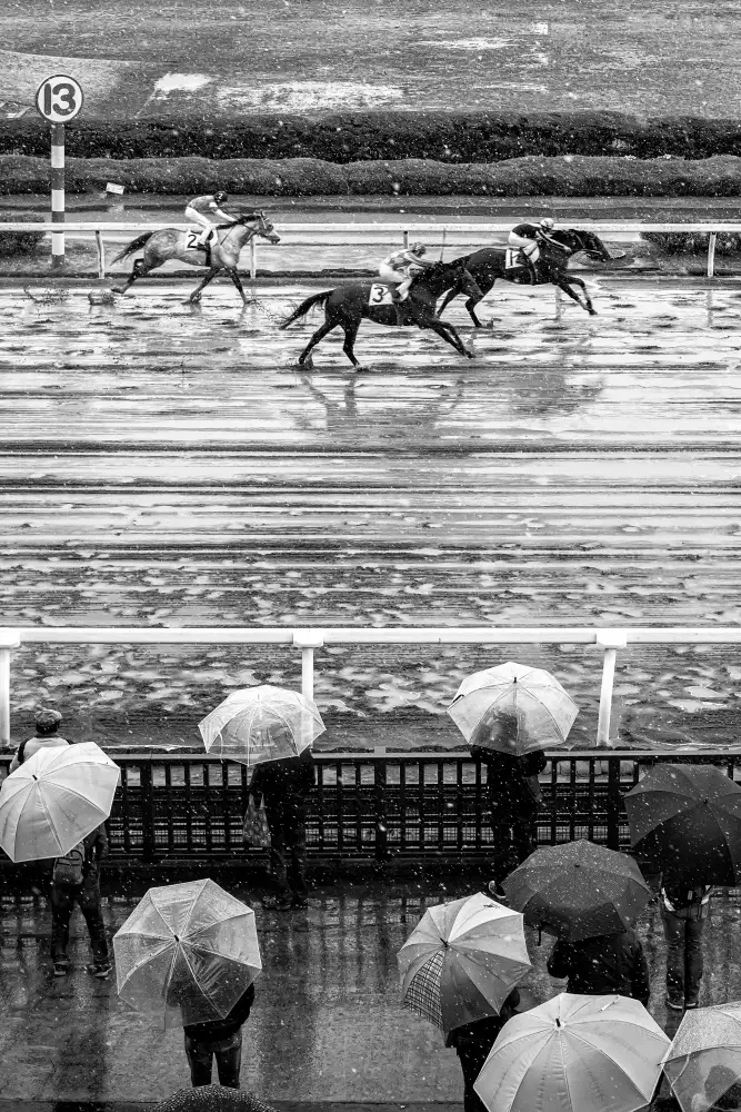 Hasegawa, Takashi: Urawa Horse racing (2018)