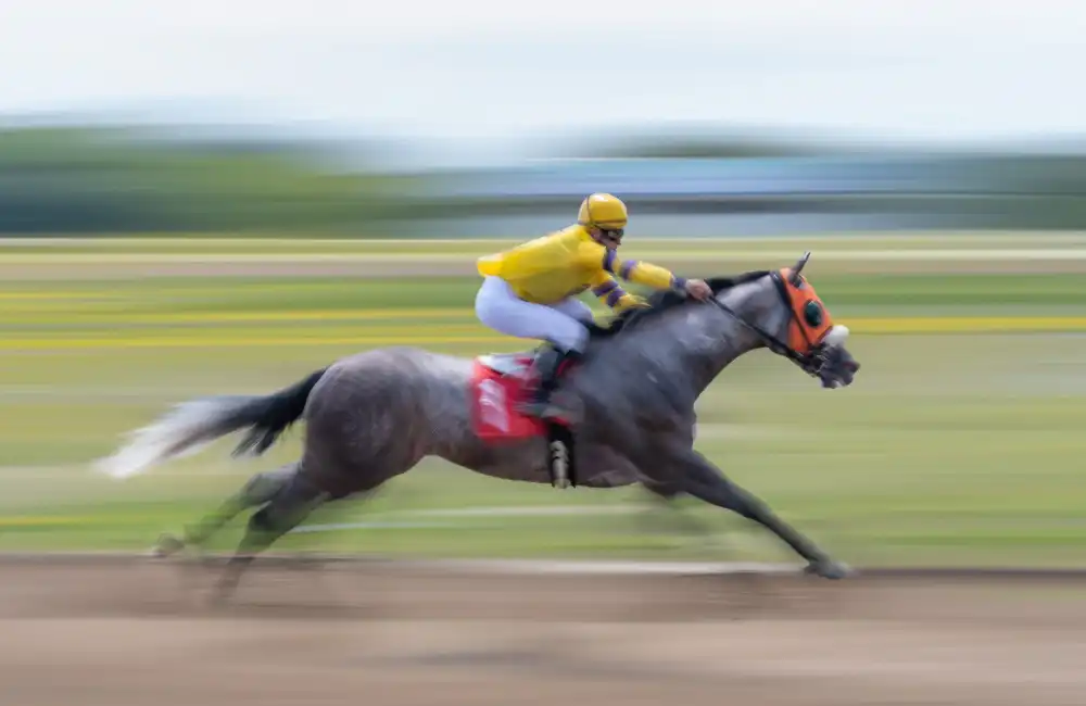 little7: Horse Racing