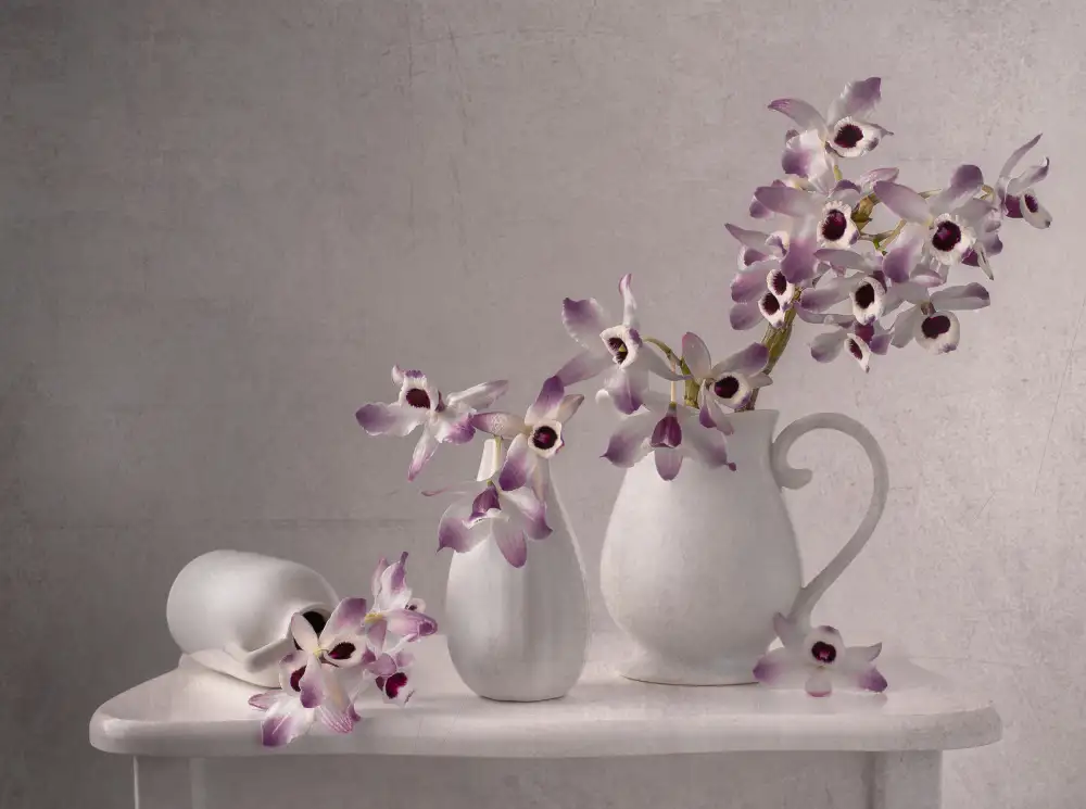 Perfoncio, Margareth: Lila Orchidee