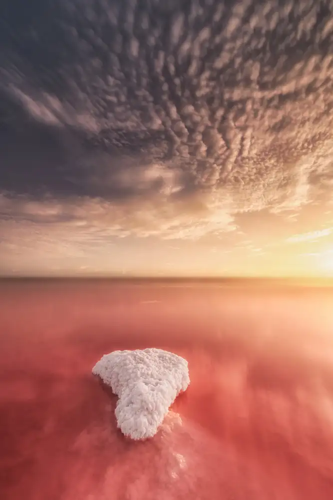 Sanchez, Antonio Jose: Salinas de Torrevieja, Spain