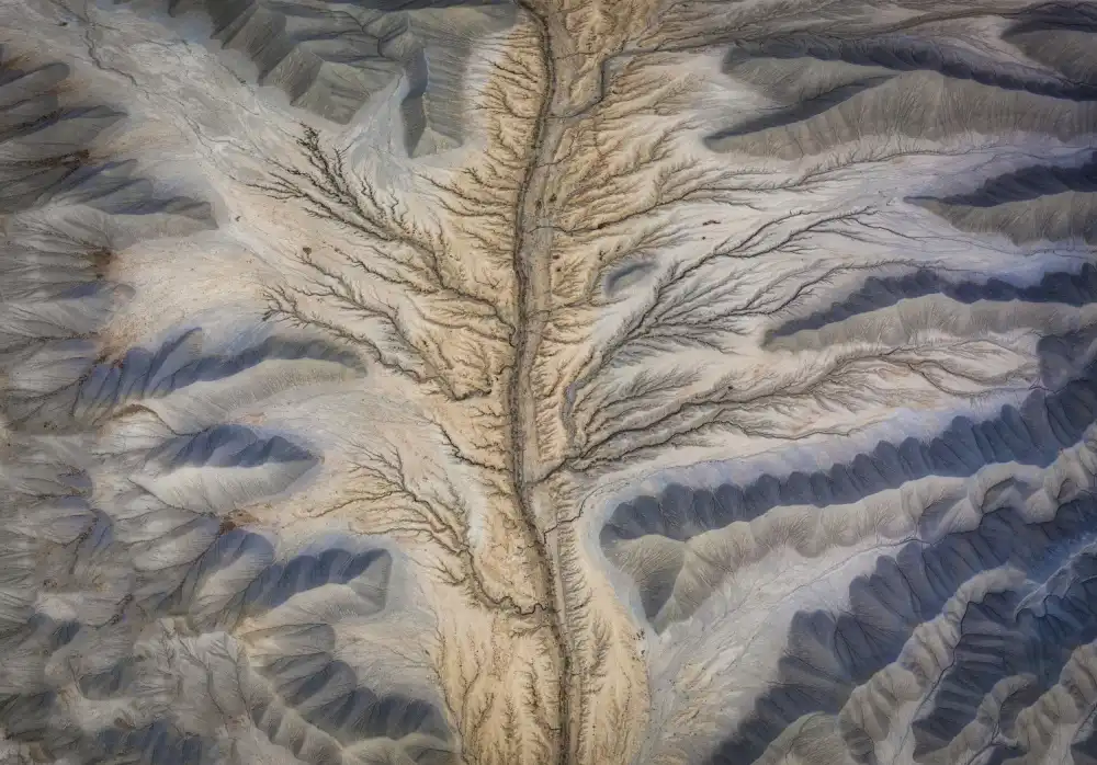 Zheng, Michael: Badlands Shora