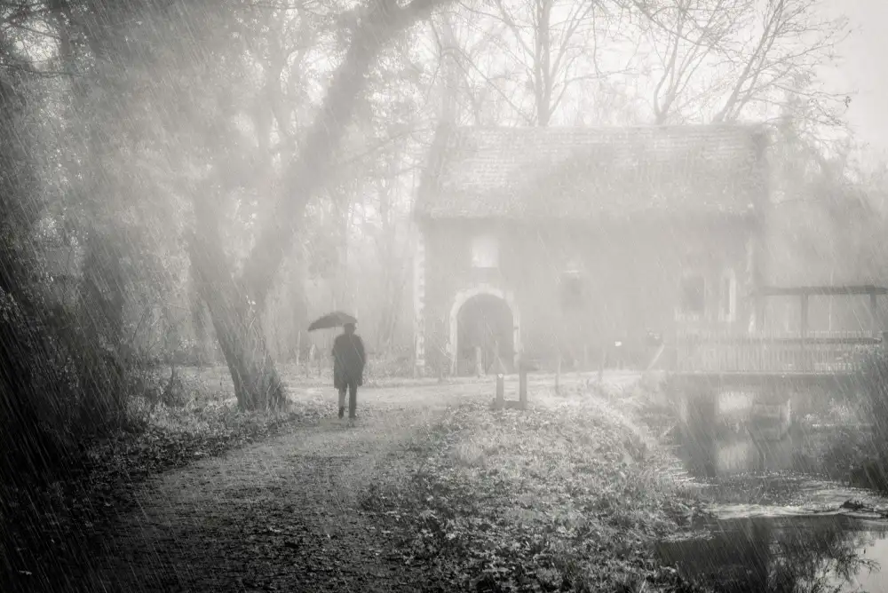 gilleman, monique: Walking alone