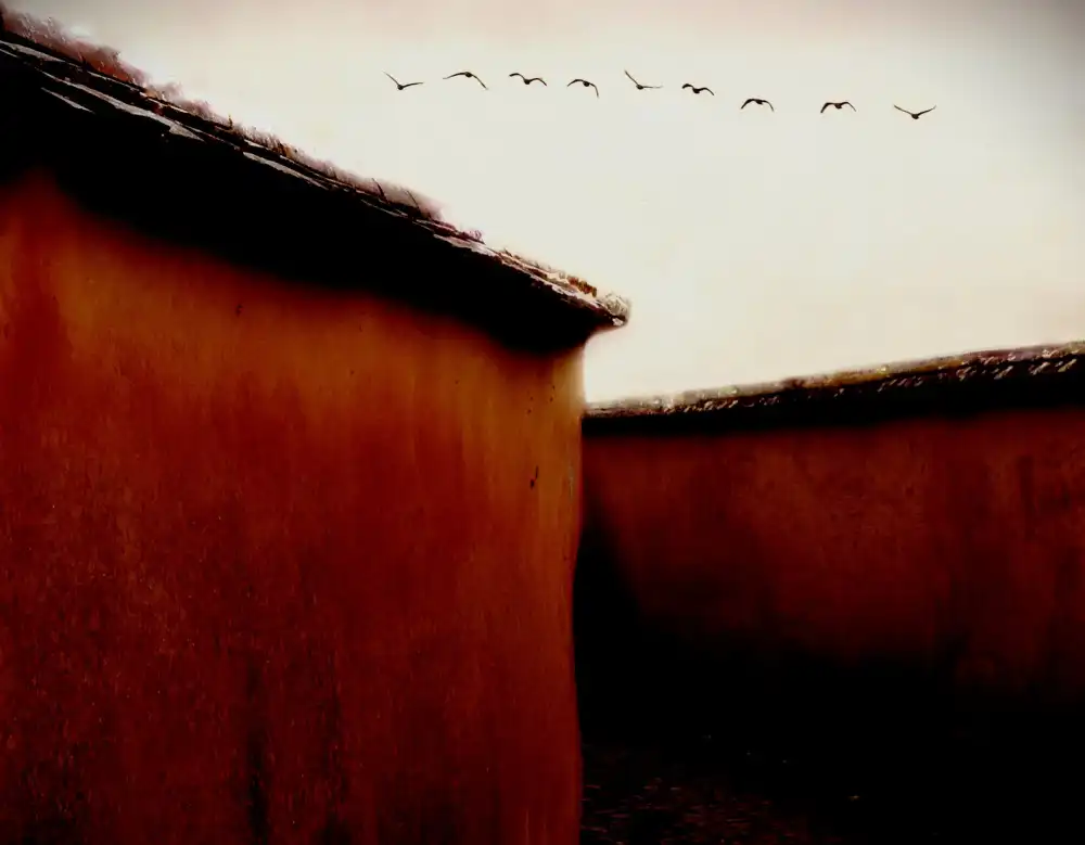 Thomas, Gareth: Leaving For Winter