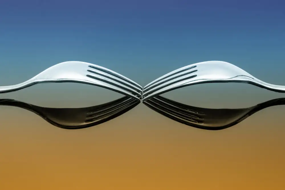 Zimmermann, Urs: forkART