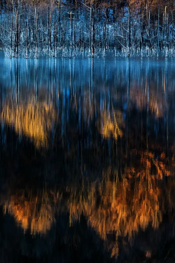 Mirica, Dan: Cuejdel lake