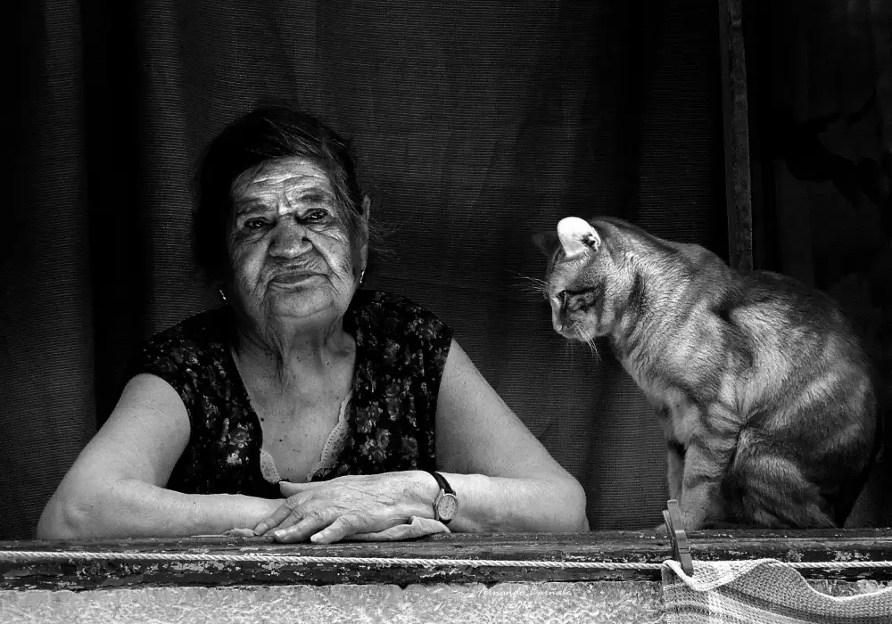 Ezequiel59: Lady at the window with her cat