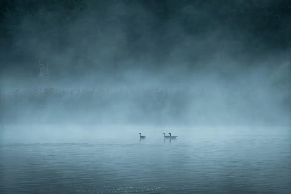 Lindsten, Christian: Dark and foggy lake
