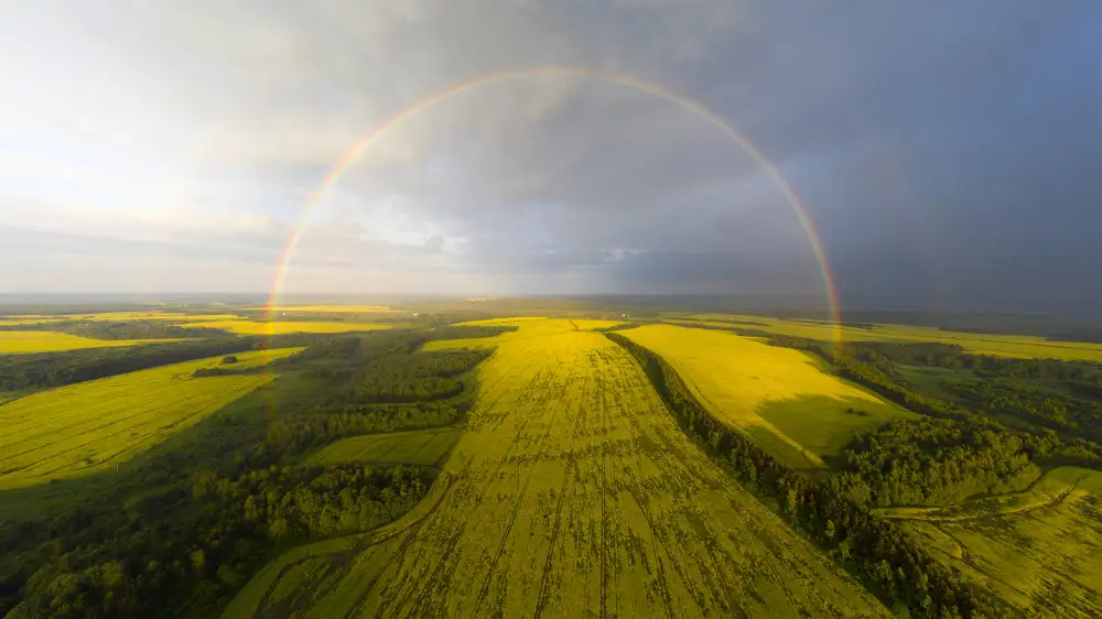 Doronin, Dmitry: An exotic look at the rainbow